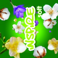 Maxiplus Inspire Soft 180gr.- 276ml. Maxiplus Inspire Soft 180gr.- 276ml.