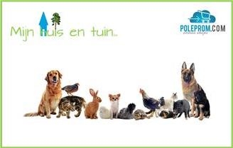 Huisdieren