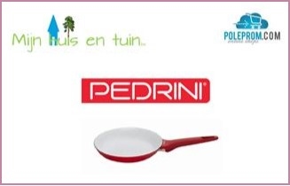 Pedrini Pannen